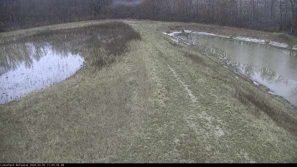 Cell 4 to Basin_24-02-02_11-07-34-94