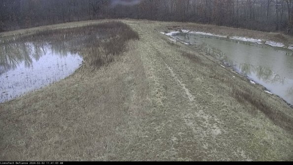 Cell 4 to Basin_24-02-02_11-41-03-96