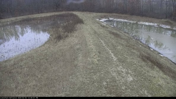 Cell 4 to Basin_24-02-02_12-48-01-92