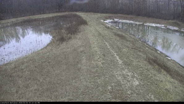 Cell 4 to Basin_24-02-02_13-21-32-93