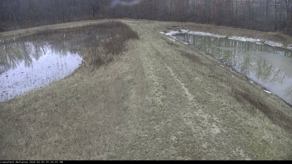 Cell 4 to Basin_24-02-02_13-55-01-95