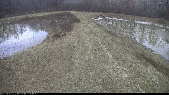 Cell 4 to Basin_24-02-02_16-42-27-91