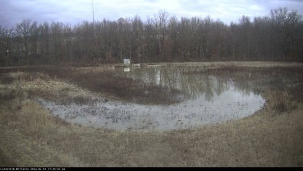 Cell 4_24-02-02_07-46-04-93