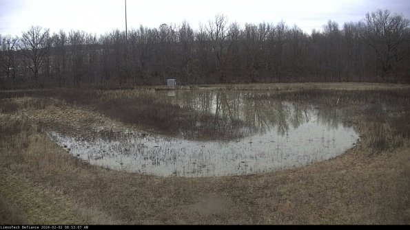 Cell 4_24-02-02_08-53-07-93