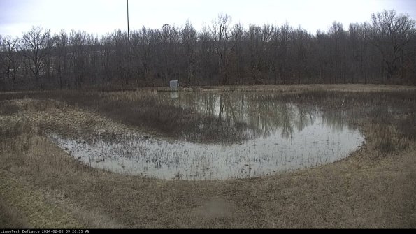 Cell 4_24-02-02_09-26-35-94