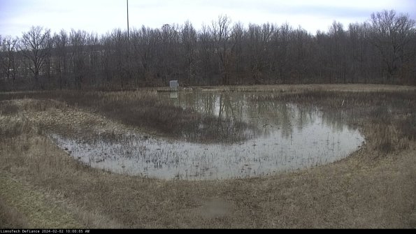 Cell 4_24-02-02_10-00-05-92