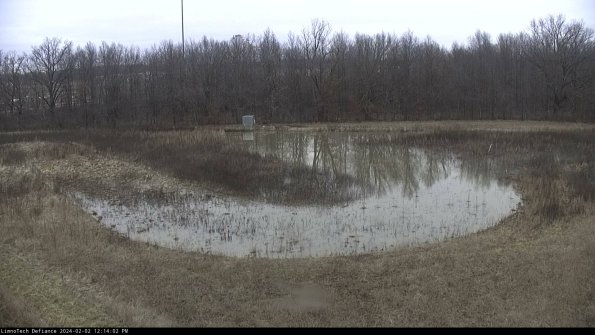 Cell 4_24-02-02_12-14-02-91