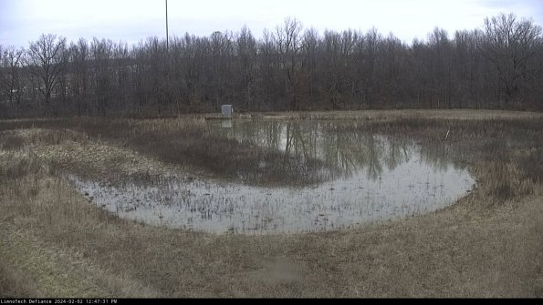 Cell 4_24-02-02_12-47-31-92