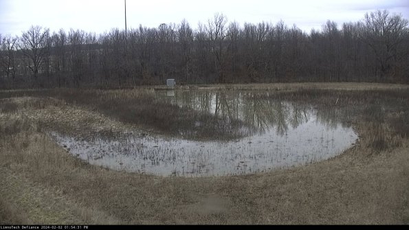 Cell 4_24-02-02_13-54-31-92