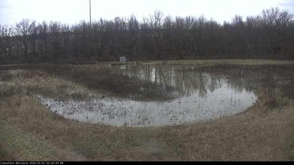 Cell 4_24-02-02_14-28-00-93