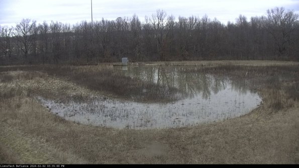 Cell 4_24-02-02_15-35-00-93