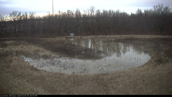 Cell 4_24-02-02_17-48-56-95