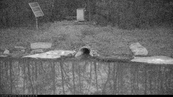 Basin Inflow_24-02-03_18-23-25-91