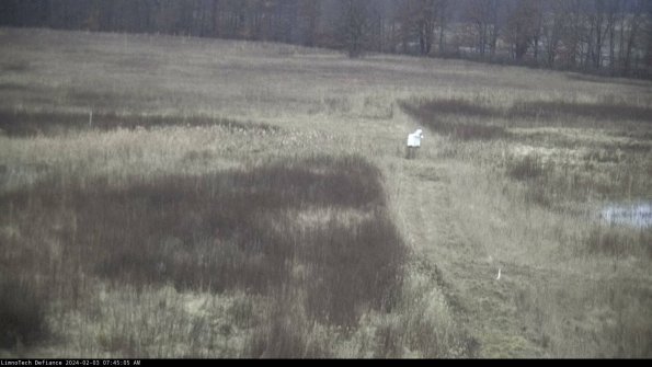 Cell 1 to 2_24-02-03_07-45-05-91