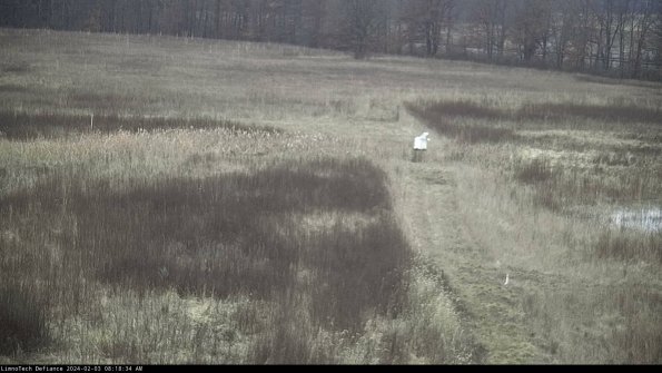 Cell 1 to 2_24-02-03_08-18-34-93