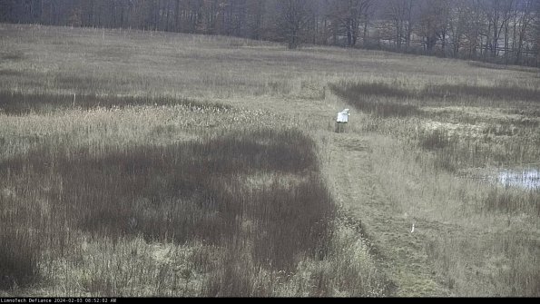 Cell 1 to 2_24-02-03_08-52-02-94