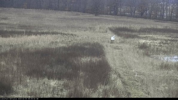 Cell 1 to 2_24-02-03_09-59-02-92