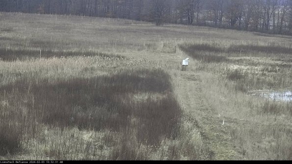 Cell 1 to 2_24-02-03_10-32-31-90