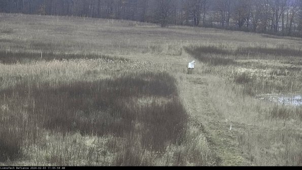 Cell 1 to 2_24-02-03_11-05-59-95