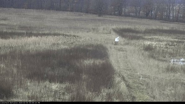 Cell 1 to 2_24-02-03_15-00-23-91