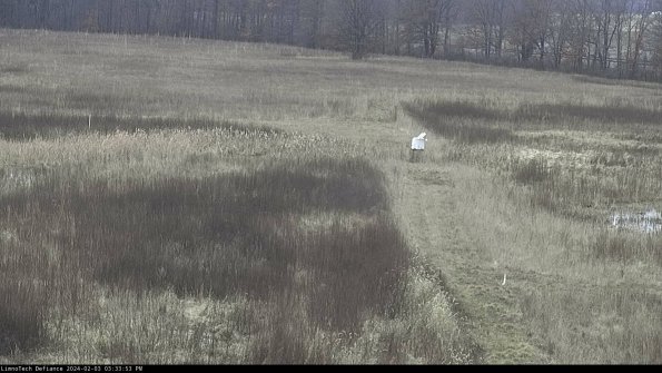 Cell 1 to 2_24-02-03_15-33-53-92