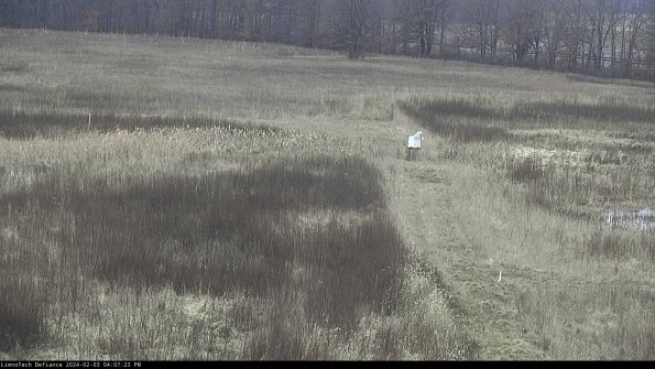 Cell 1 to 2_24-02-03_16-07-23-90