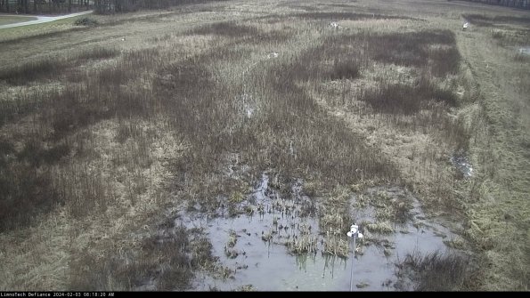 Cell 1_24-02-03_08-18-20-91