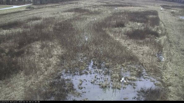 Cell 1_24-02-03_08-51-48-95