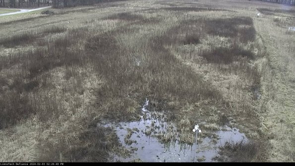 Cell 1_24-02-03_14-26-40-91