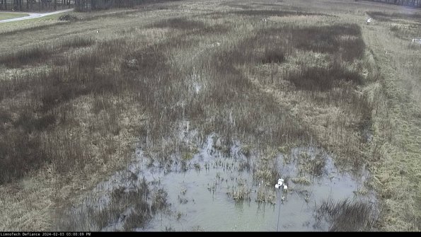 Cell 1_24-02-03_15-00-09-93