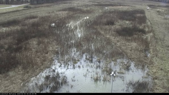 Cell 1_24-02-03_15-33-39-94