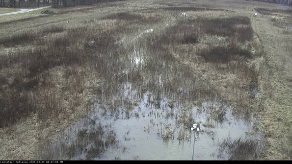 Cell 1_24-02-03_16-07-09-92