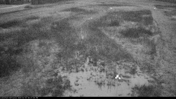 Cell 1_24-02-03_18-21-05-94