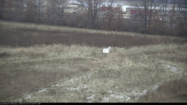 Cell 2 to 3_24-02-03_07-45-32-11