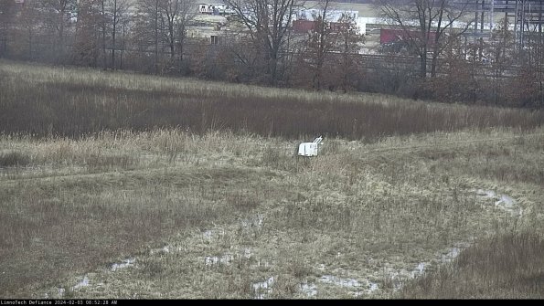 Cell 2 to 3_24-02-03_08-52-29-09