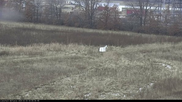 Cell 2 to 3_24-02-03_15-00-50-07