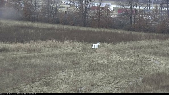 Cell 2 to 3_24-02-03_15-34-20-11