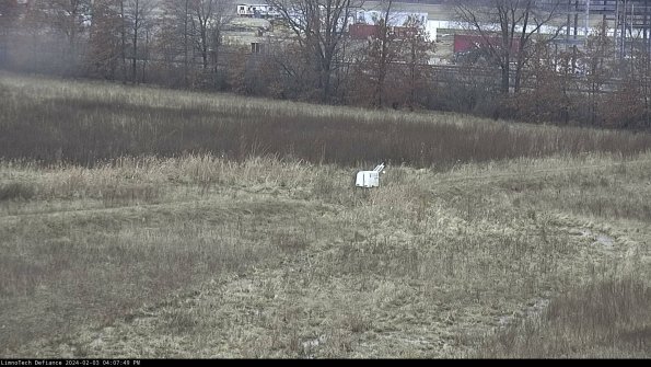 Cell 2 to 3_24-02-03_16-07-50-03