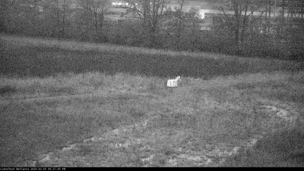 Cell 2 to 3_24-02-03_18-21-46-18