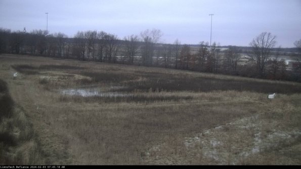 Cell 2_24-02-03_07-45-18-99