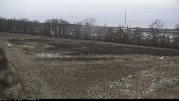 Cell 2_24-02-03_08-18-47-94