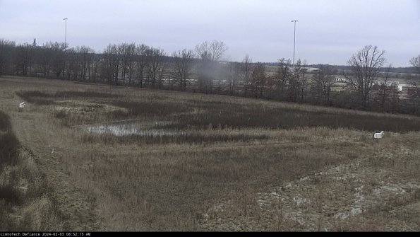 Cell 2_24-02-03_08-52-16-02