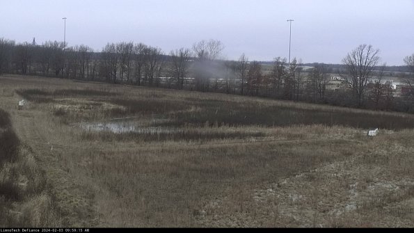 Cell 2_24-02-03_09-59-16-04