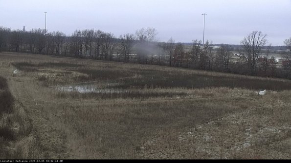 Cell 2_24-02-03_10-32-44-91