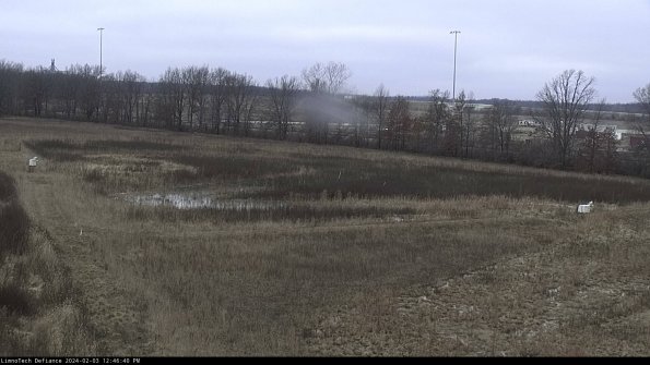 Cell 2_24-02-03_12-46-40-97