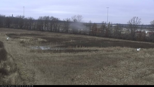 Cell 2_24-02-03_13-20-09-95