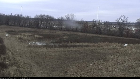 Cell 2_24-02-03_14-27-07-94