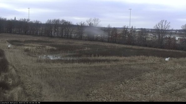 Cell 2_24-02-03_15-00-36-95