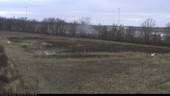 Cell 2_24-02-03_15-34-07-00