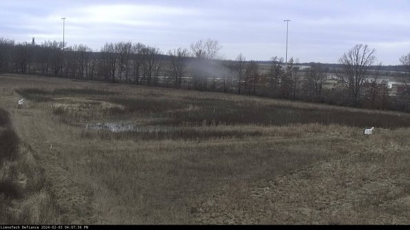 Cell 2_24-02-03_16-07-36-98